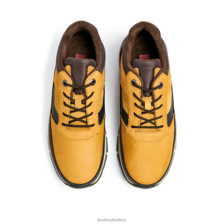 Shoes brown LLOYD EBE Men 86B4D295