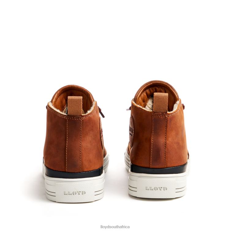 Shoes brown LLOYD EDWARD Men 86B4D298