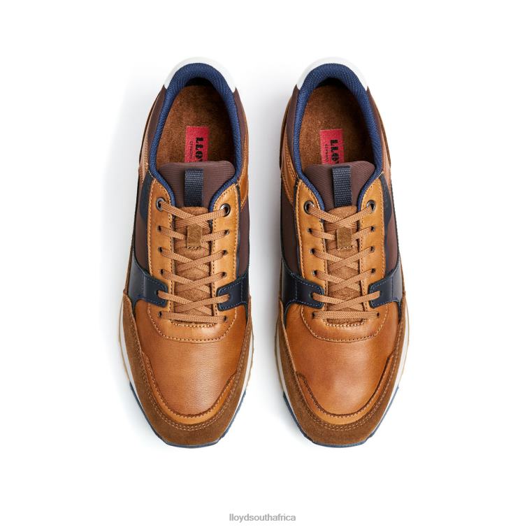 Shoes brown LLOYD EIRON Men 86B4D293