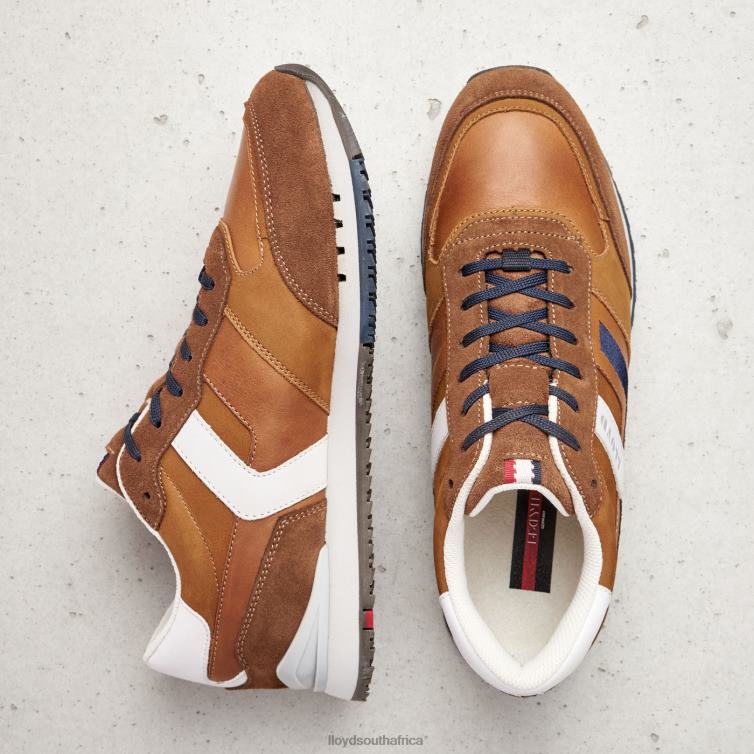 Shoes brown LLOYD ELIO Men 86B4D381