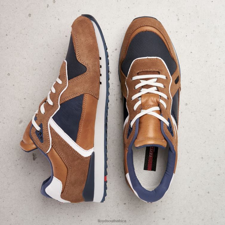 Shoes brown LLOYD ELJA Men 86B4D373