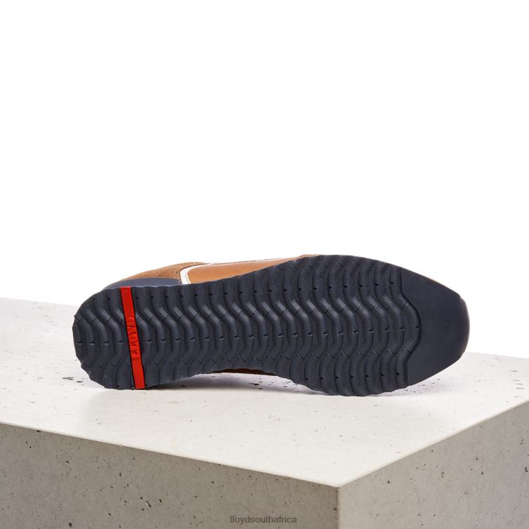 Shoes brown LLOYD ELJA Men 86B4D373