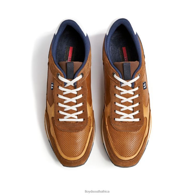 Shoes brown LLOYD EMILIAN Men 86B4D282