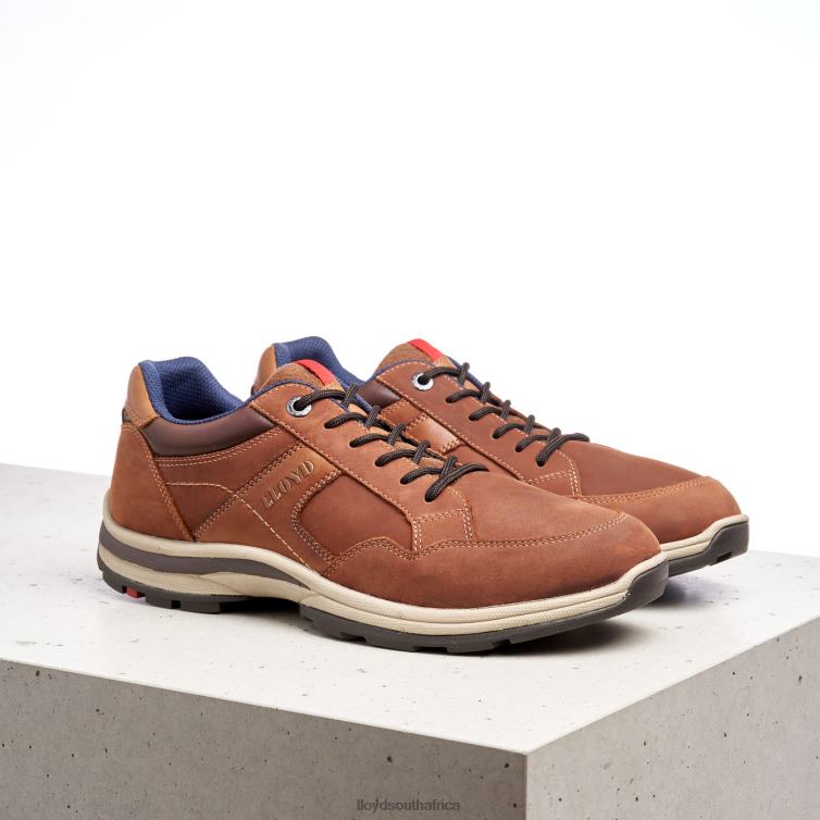 Shoes brown LLOYD ENSOR Men 86B4D394