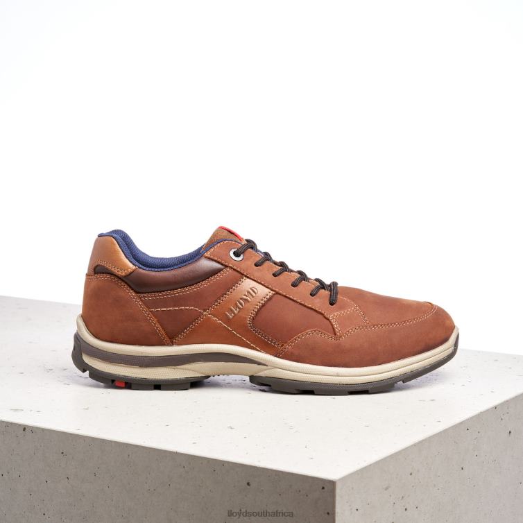 Shoes brown LLOYD ENSOR Men 86B4D394