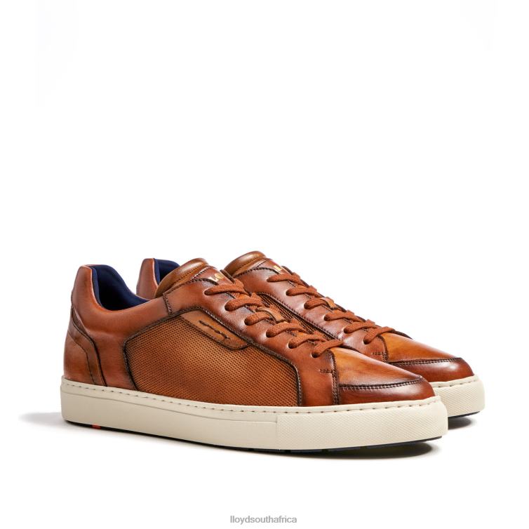 Shoes brown LLOYD MALAGA Men 86B4D1327