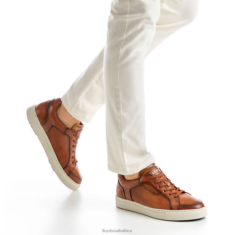 Shoes brown LLOYD MALAGA Men 86B4D1327