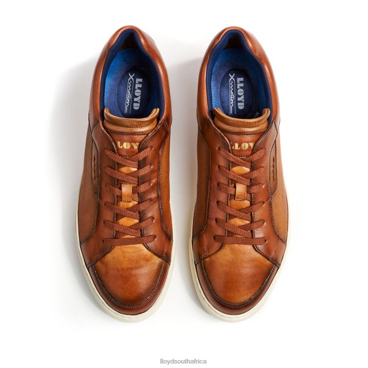 Shoes brown LLOYD MALAGA Men 86B4D1327