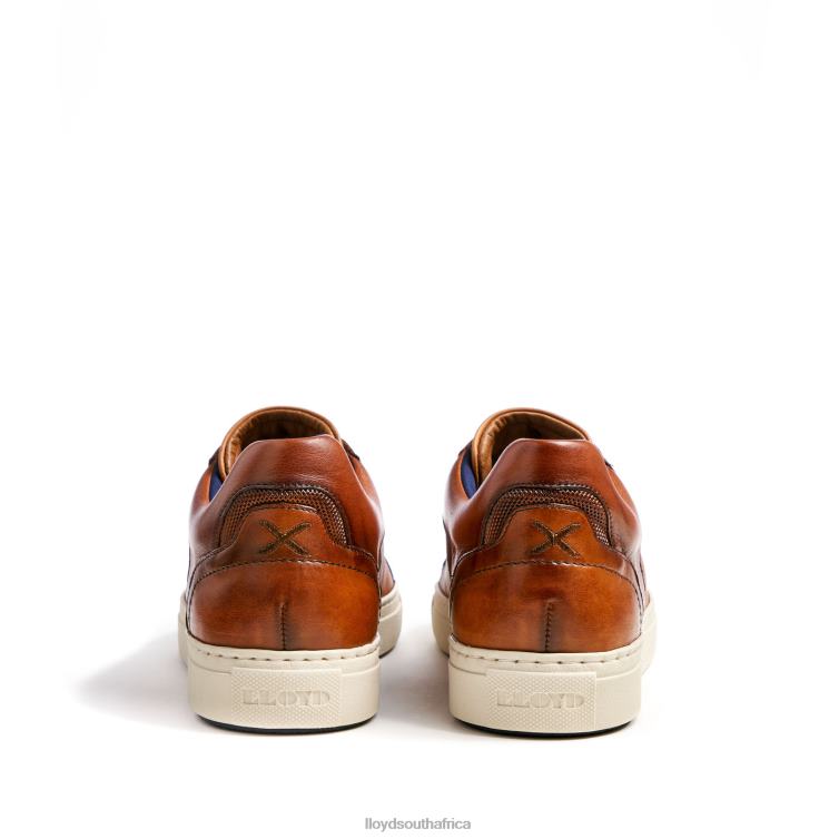 Shoes brown LLOYD MALAGA Men 86B4D1327