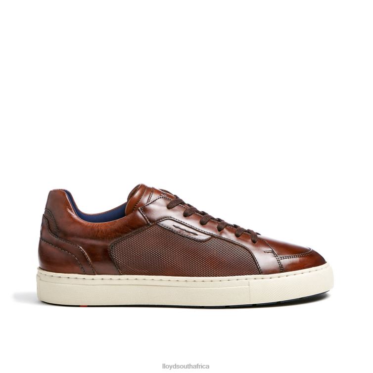 Shoes brown LLOYD MALAGA Men 86B4D249