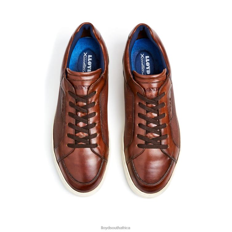 Shoes brown LLOYD MALAGA Men 86B4D249