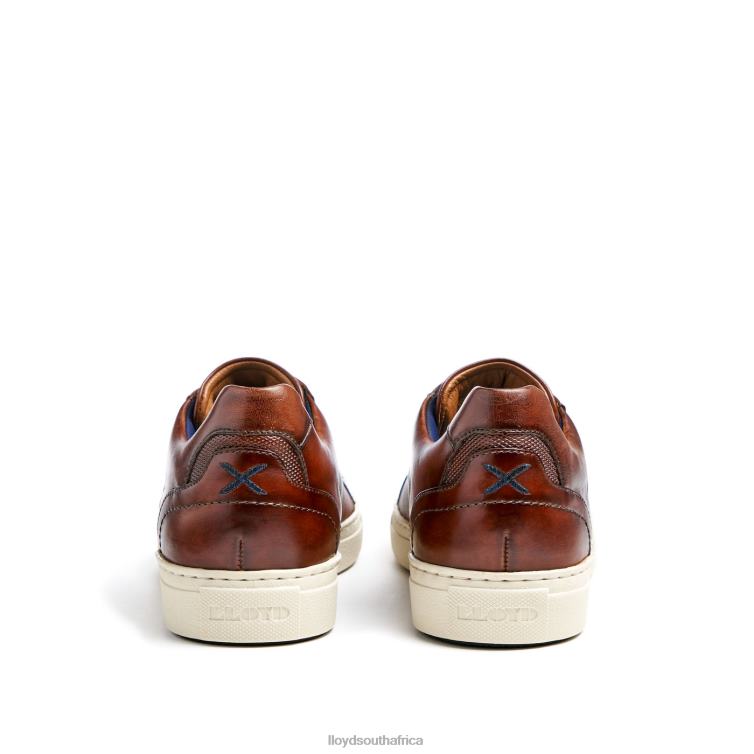 Shoes brown LLOYD MALAGA Men 86B4D249