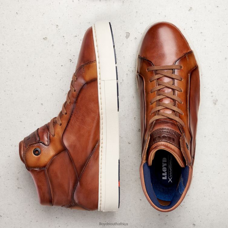 Shoes brown LLOYD MARSHAL Men 86B4D254