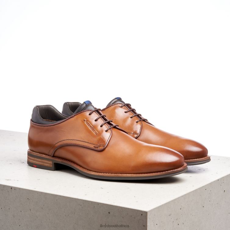 Shoes brown LLOYD MASSIMO Men 86B4D201