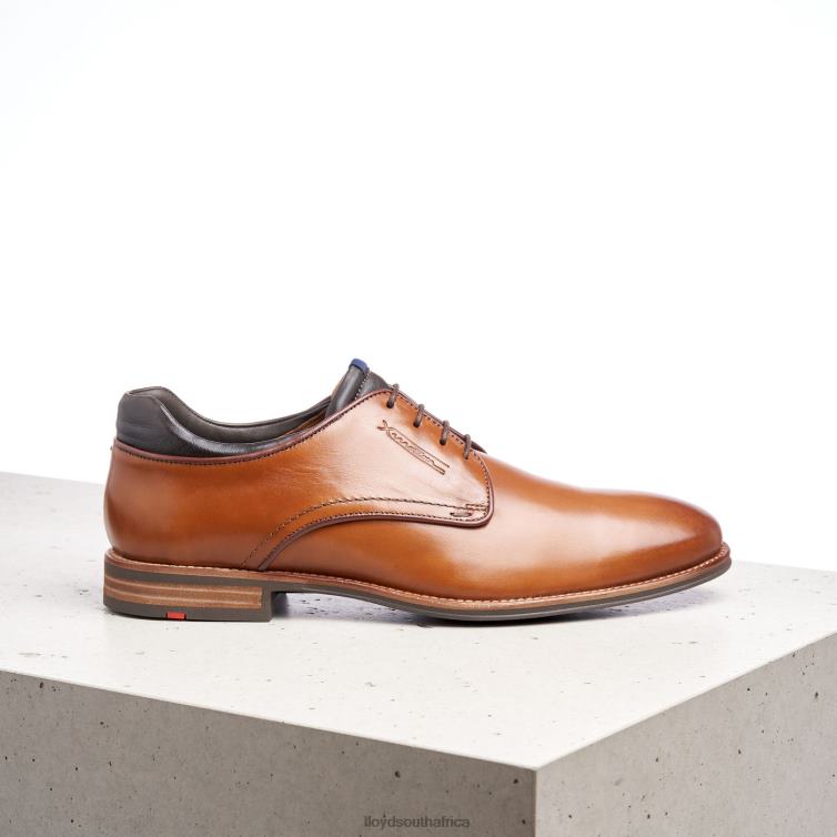 Shoes brown LLOYD MASSIMO Men 86B4D201