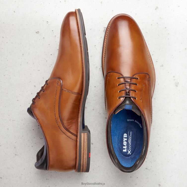 Shoes brown LLOYD MASSIMO Men 86B4D201