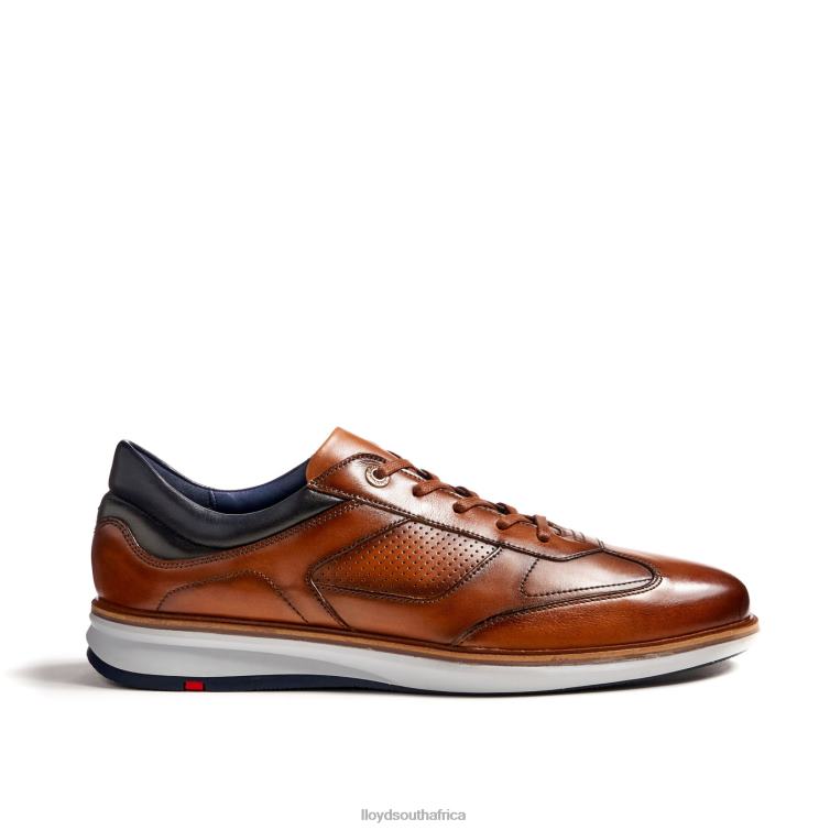 Shoes brown LLOYD MAXIM Men 86B4D250