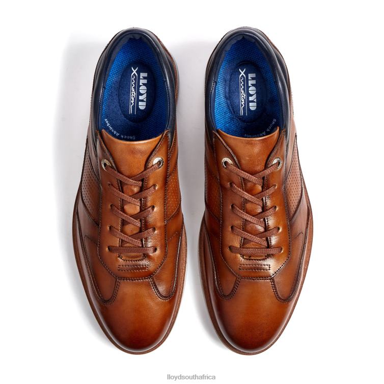 Shoes brown LLOYD MAXIM Men 86B4D250