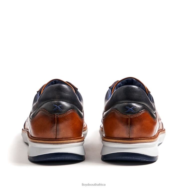 Shoes brown LLOYD MAXIM Men 86B4D250