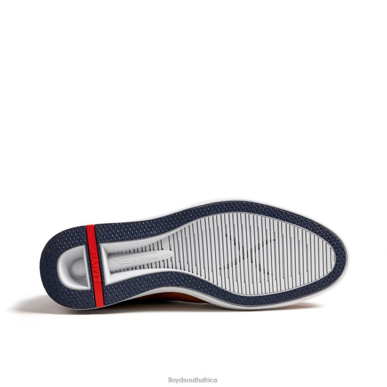 Shoes brown LLOYD MAXIM Men 86B4D250