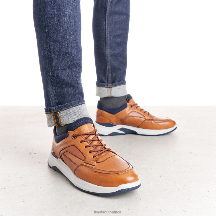 Shoes brown LLOYD MEMPHIS Men 86B4D1328