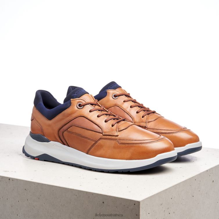 Shoes brown LLOYD MEMPHIS Men 86B4D1328