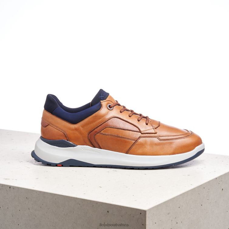 Shoes brown LLOYD MEMPHIS Men 86B4D1328