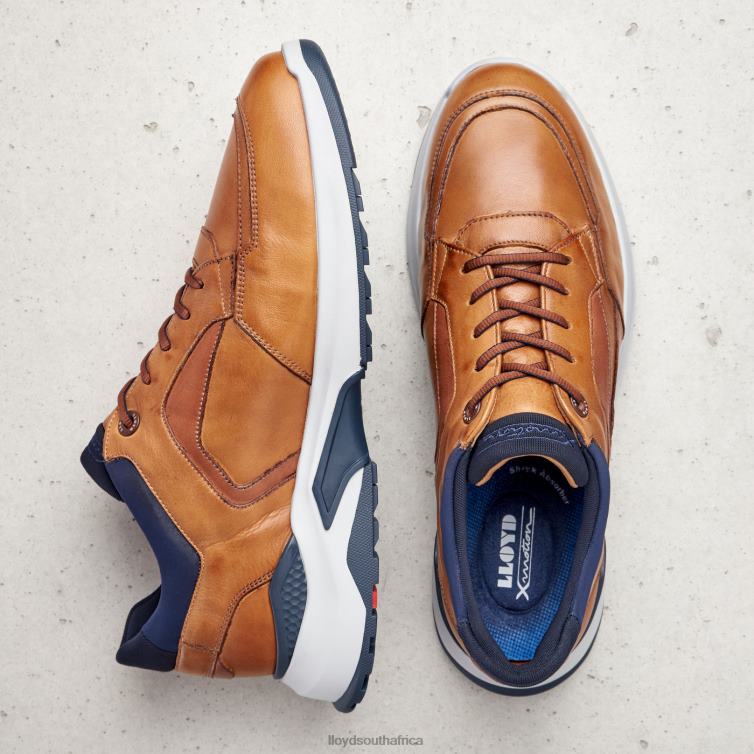 Shoes brown LLOYD MEMPHIS Men 86B4D1328