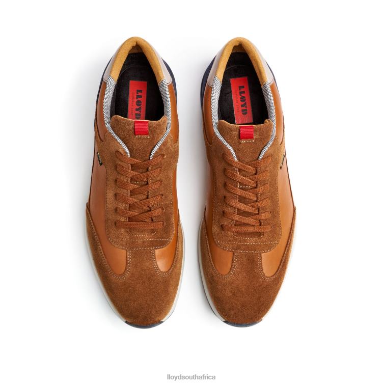 Shoes brown LLOYD VEDEA Men 86B4D322