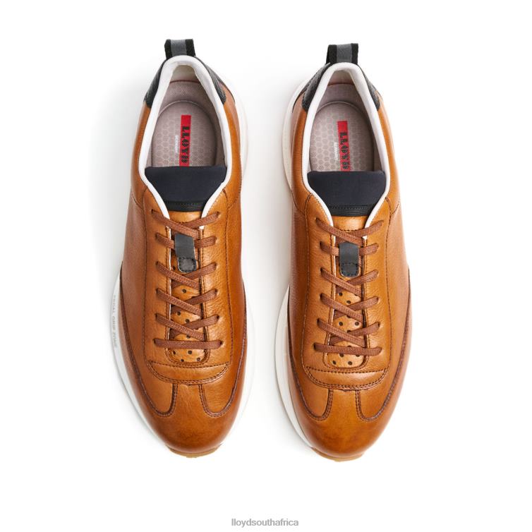 Shoes brown LLOYD VELO 6 Men 86B4D435