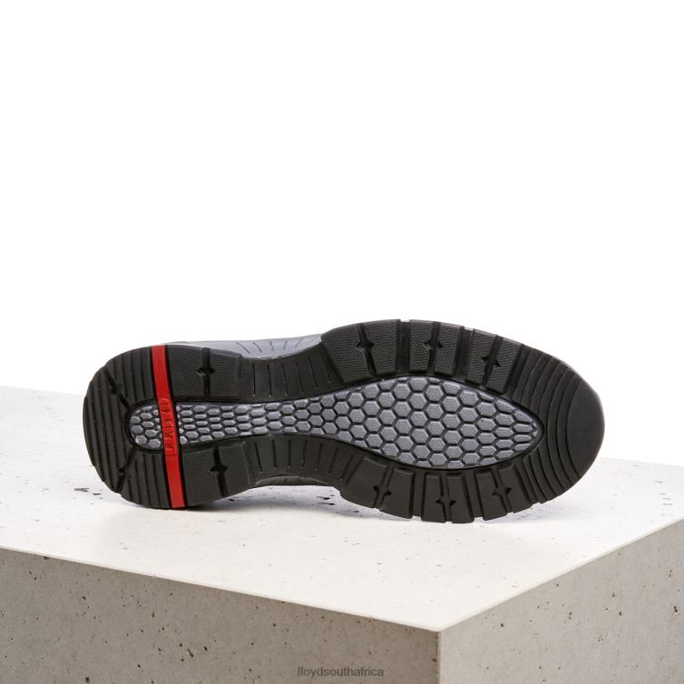 Shoes grey LLOYD ERCO Men 86B4D343