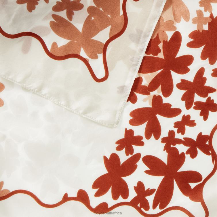 Accessories brown LLOYD DIANE Women 86B4D1302