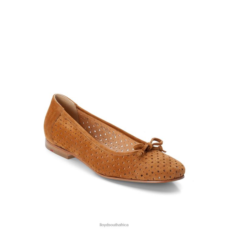 Shoes brown LLOYD BALLERINA Women 86B4D1144