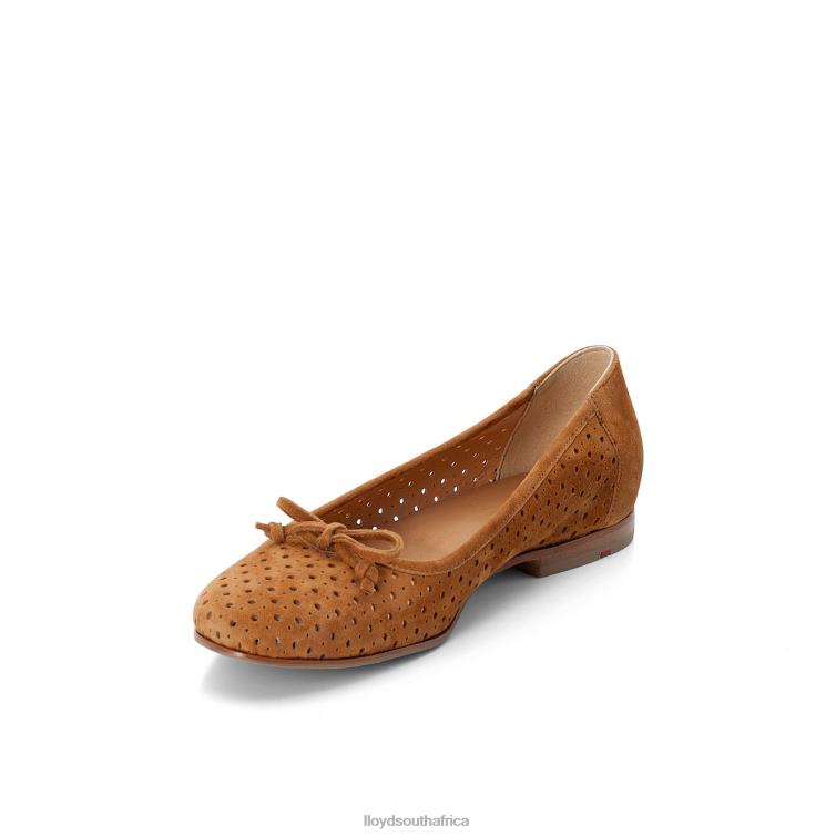 Shoes brown LLOYD BALLERINA Women 86B4D1144