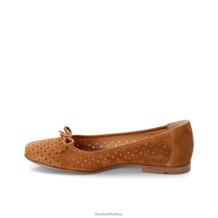 Shoes brown LLOYD BALLERINA Women 86B4D1144