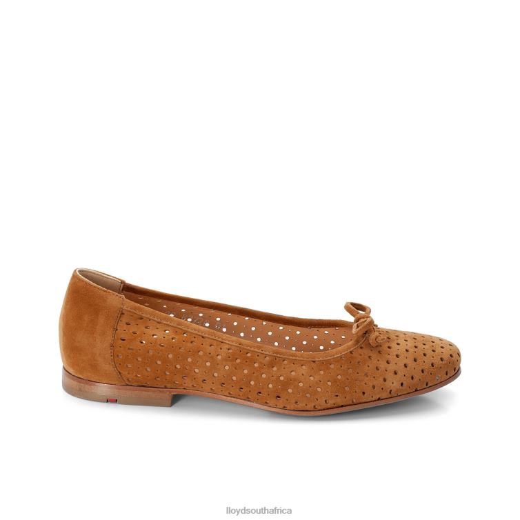 Shoes brown LLOYD BALLERINA Women 86B4D1144
