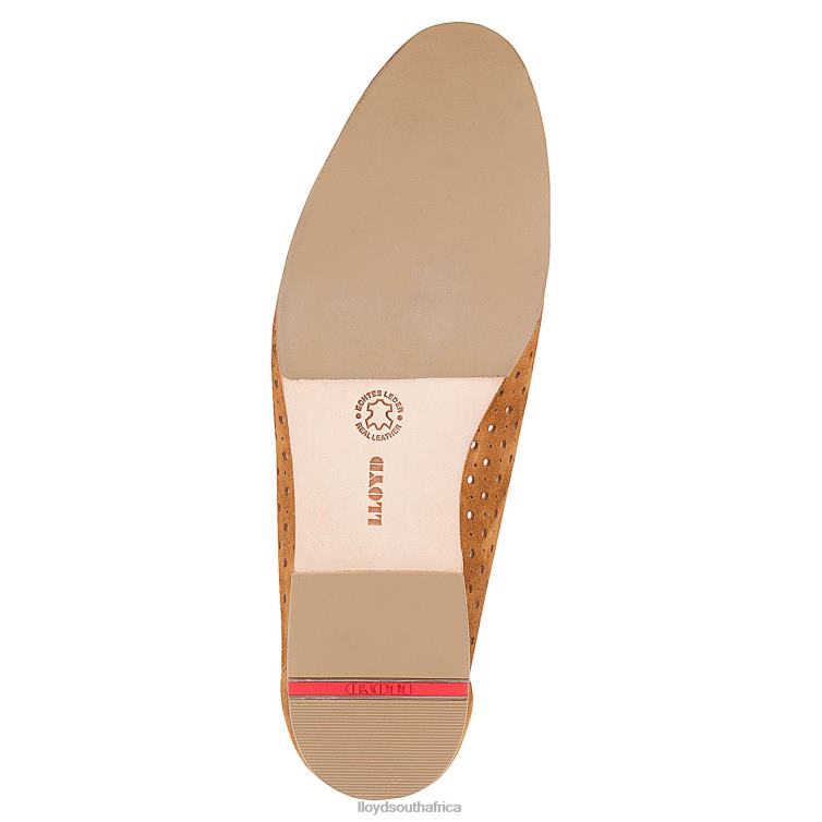 Shoes brown LLOYD BALLERINA Women 86B4D1144