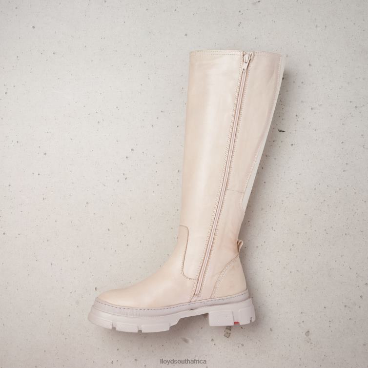 Shoes beige LLOYD BOOTSS Women 86B4D1198