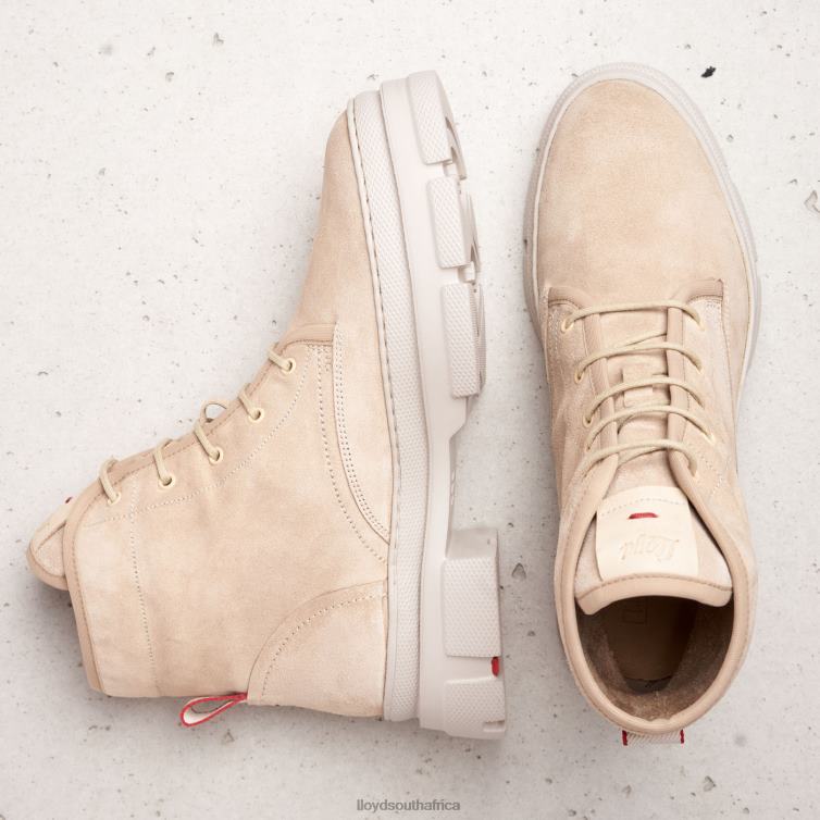 Shoes beige LLOYD lace-up ANKLE BOOTS Women 86B4D977