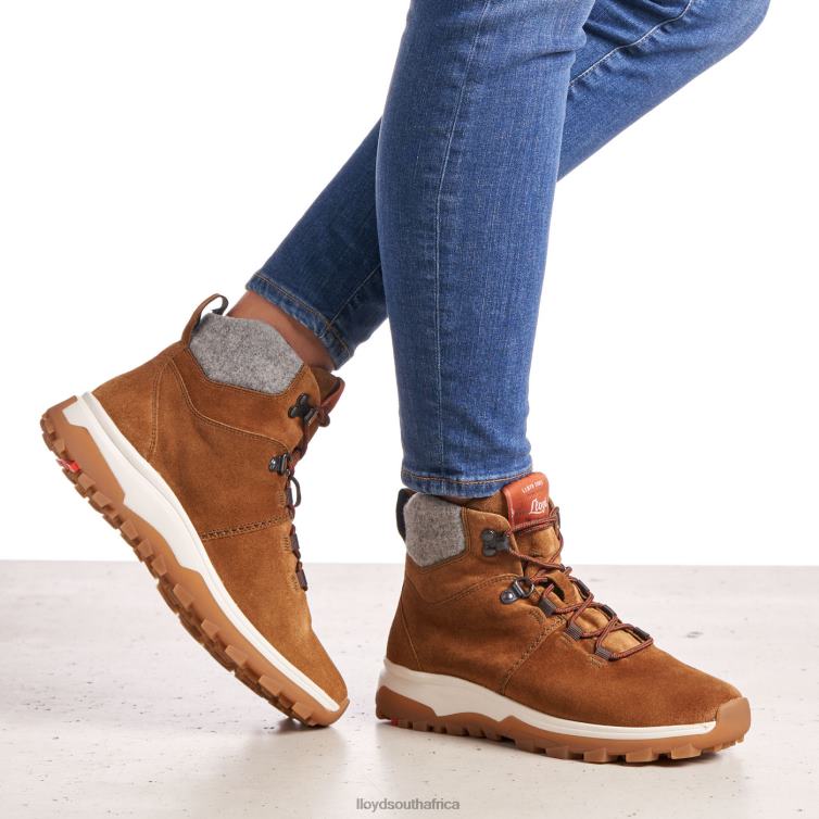 Shoes brown LLOYD ANKLE BOOTS Women 86B4D856