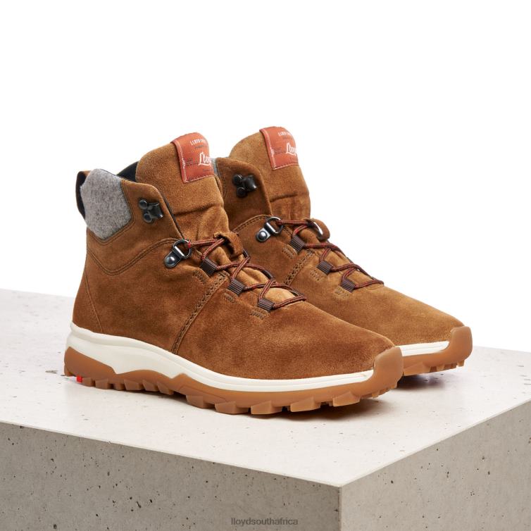 Shoes brown LLOYD ANKLE BOOTS Women 86B4D856