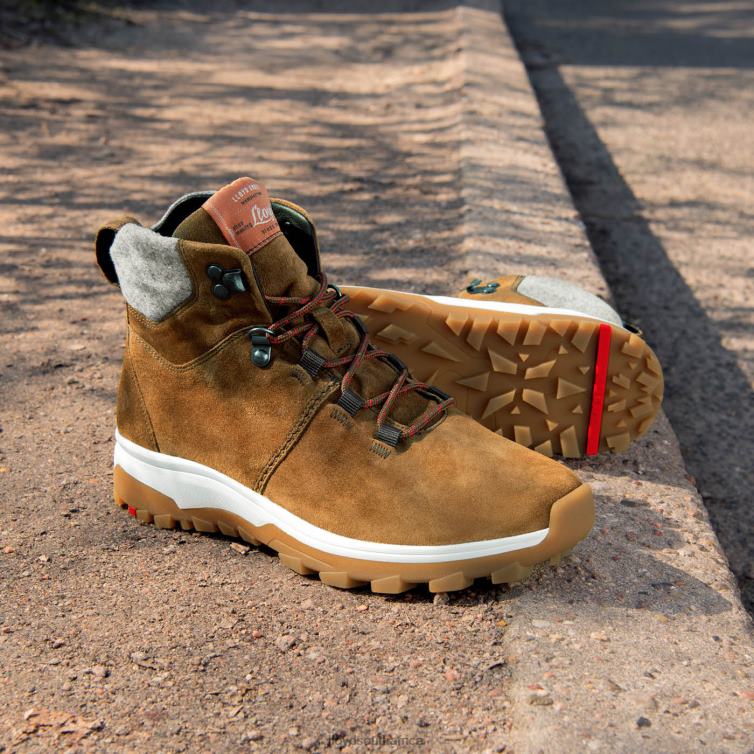 Shoes brown LLOYD ANKLE BOOTS Women 86B4D856