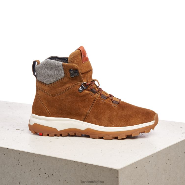 Shoes brown LLOYD ANKLE BOOTS Women 86B4D856