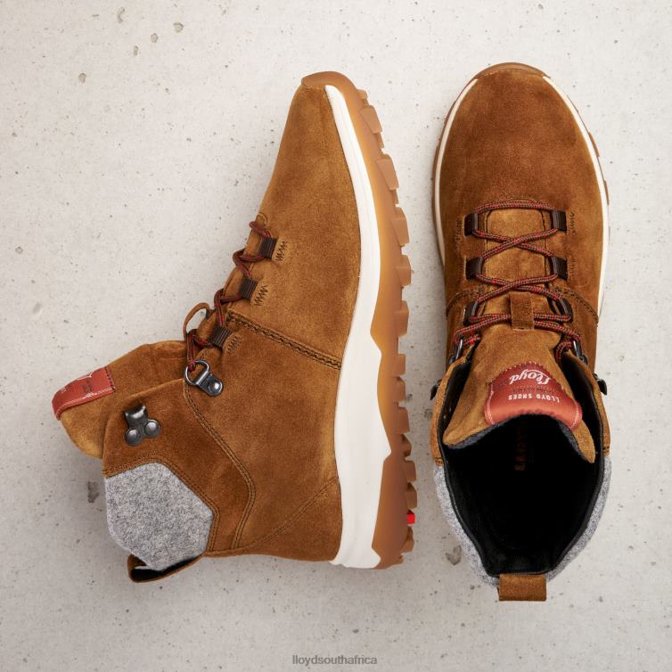 Shoes brown LLOYD ANKLE BOOTS Women 86B4D856