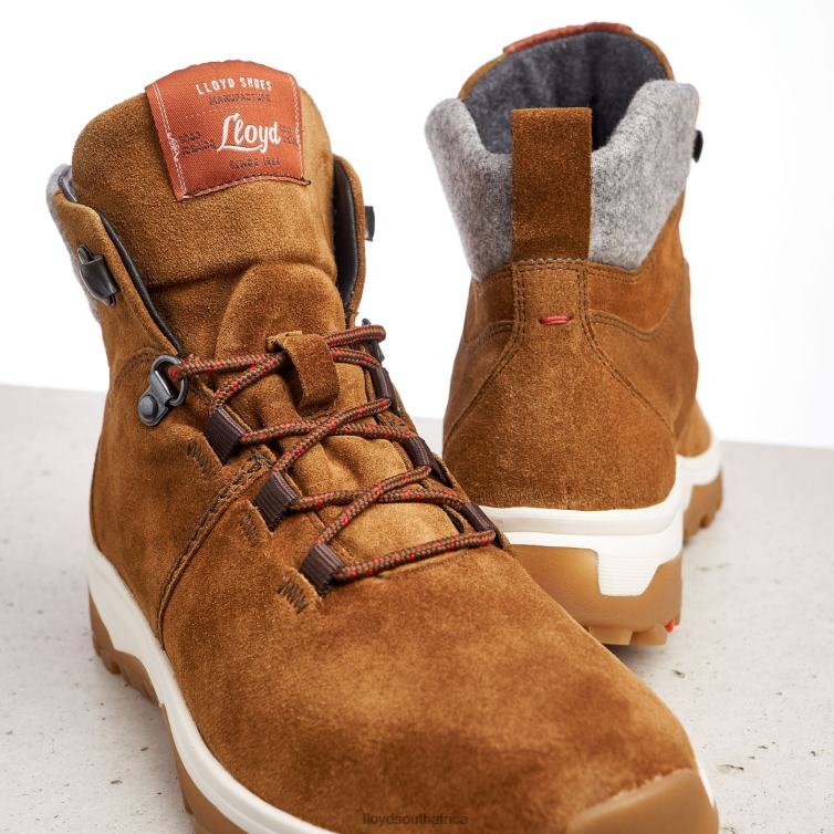 Shoes brown LLOYD ANKLE BOOTS Women 86B4D856