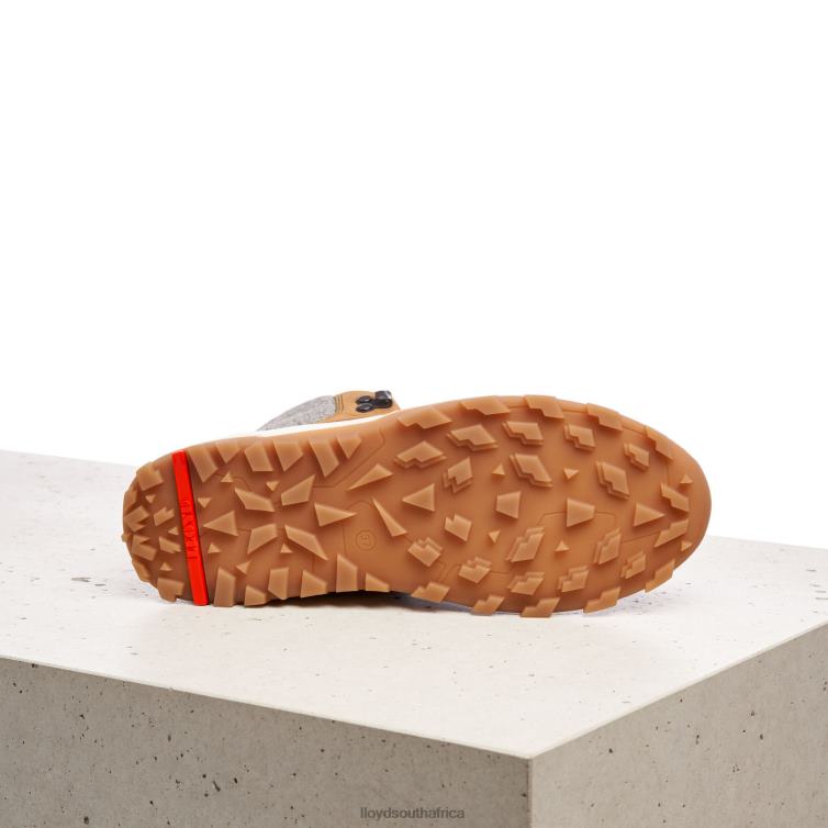 Shoes brown LLOYD ANKLE BOOTS Women 86B4D856