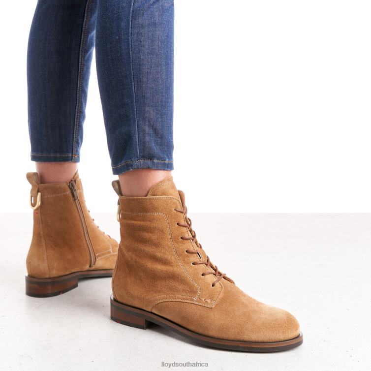 Shoes brown LLOYD ANKLE BOOTS Women 86B4D959
