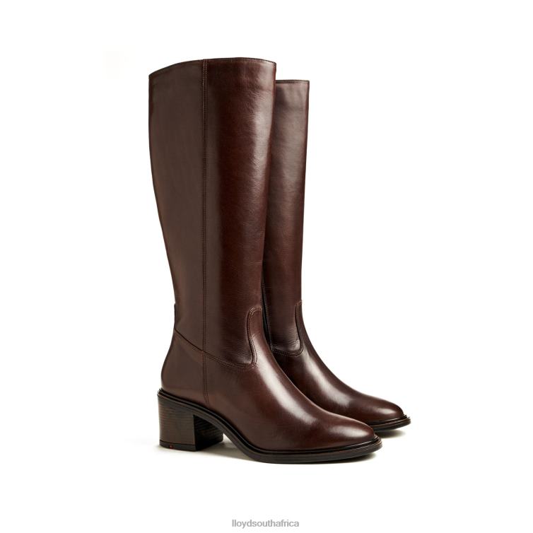 Shoes brown LLOYD BOOT Women 86B4D1191