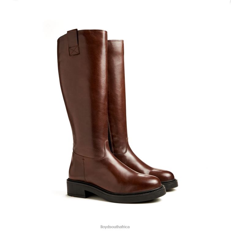 Shoes brown LLOYD BOOT Women 86B4D1193