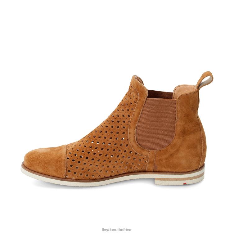 Shoes brown LLOYD Chelsea ANKLE BOOTS Women 86B4D993